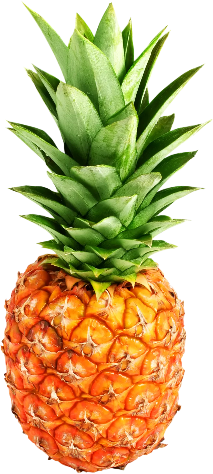 菠萝免抠素材 (2)