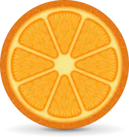 101_orange_PNG751