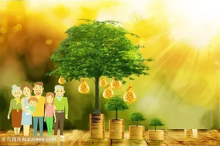 家庭保障金融投资保险理财