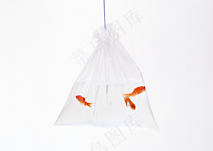 工艺品 4