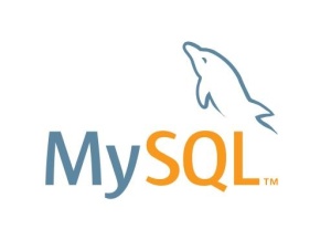 MySQL 标志 PNG免抠