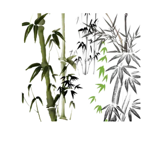 竹子水墨画中国风国画墨水书法竹子画