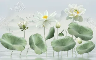 手绘荷花百荷背景