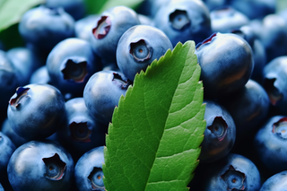 蓝莓水果摄影图