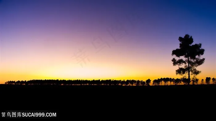 黄昏美景时尚壁画