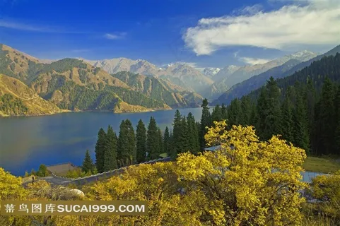 新疆天山天池自然美景 新疆天山天池自然美景