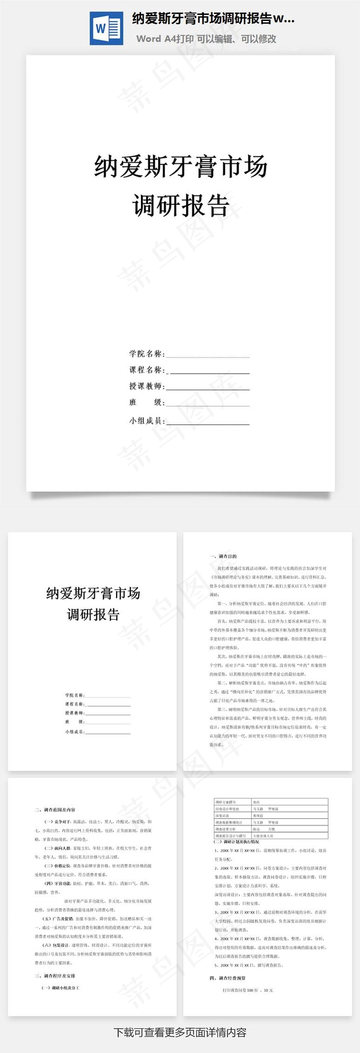 纳爱斯牙膏市场调研报告word文档