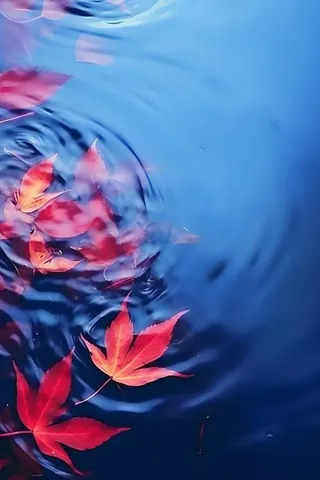 秋叶蓝色水面背景