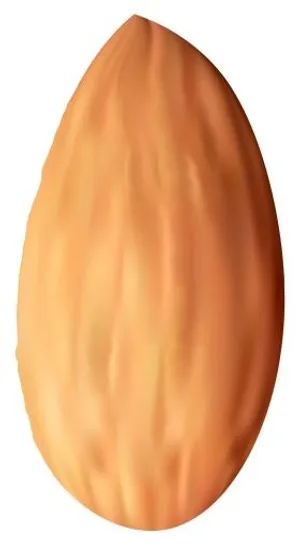 杏仁 PNG免抠