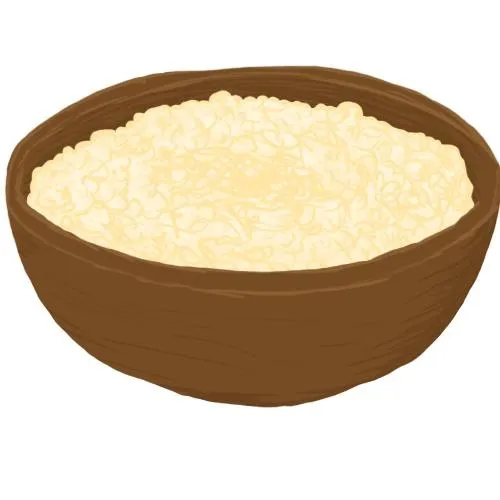 PNG粥燕麦片免抠(500x500)