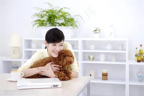 宠物女孩-桌子上面抱着狗狗的美女