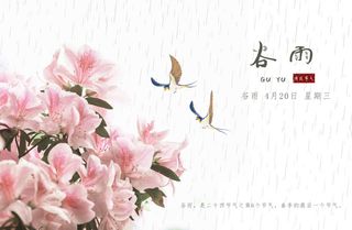 淡雅谷雨 节气海报