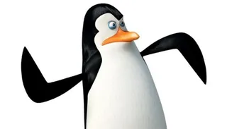 马达加斯加企鹅 PNG免抠