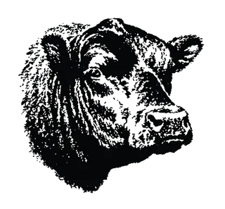 水牛头现代农业