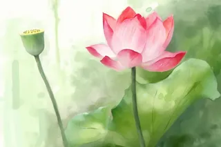 国风荷花水墨节气背景