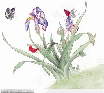 工笔画—兰花 工笔画—兰花