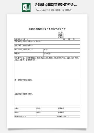 金融机构甄别可疑外汇资金交易报告表excel模板