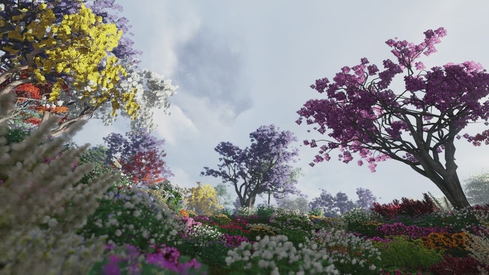 开满不同颜色花朵的花园