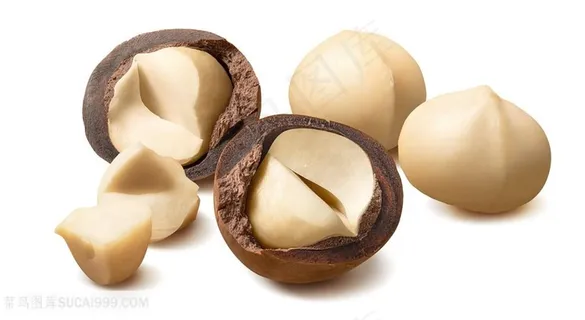 昆士兰果高清图片 昆士兰果高清图片