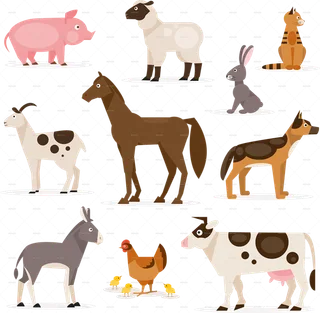 畜牧业现代农业