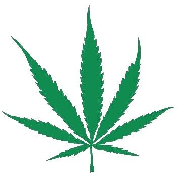 大麻PNG免抠(350x350)