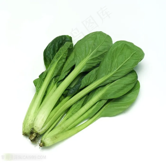 蔬菜摄影菠菜高清素材