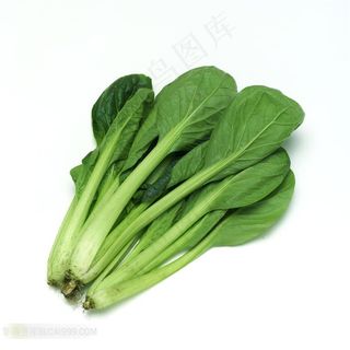 蔬菜摄影菠菜高清素材
