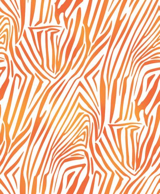 数码印花 斑马纹