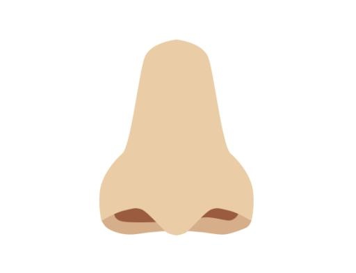 人的鼻子 PNG免抠(577x442)