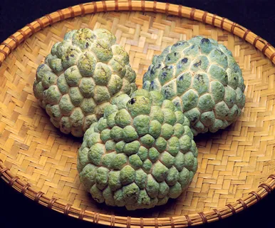 番荔枝高清图片 番荔枝高清图片