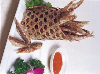 1009LC-0196汉江小野鱼