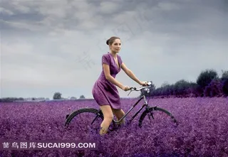 野外花园美女图片