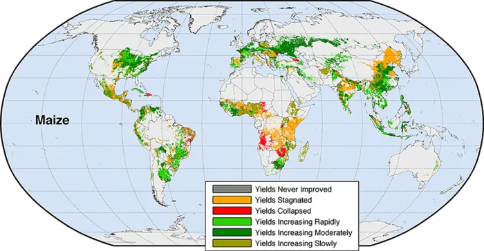 庄稼分布现代农业