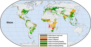 庄稼分布现代农业