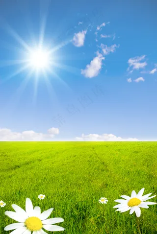 高清草地风景图片下载