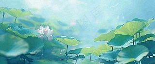 夏天池塘荷花池荷花荷叶河流插画手绘，夏至处暑小暑大暑