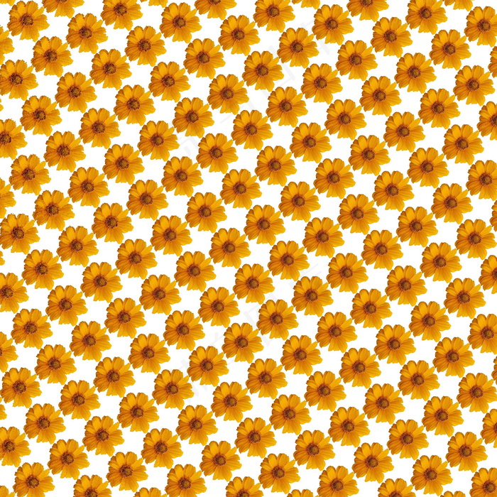 黄色小花底纹素材图片