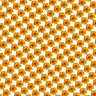 黄色小花底纹素材图片