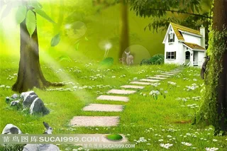 装饰画背景画无框画森林