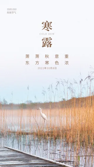 灰色简约风寒露手机宣传海报节气海报