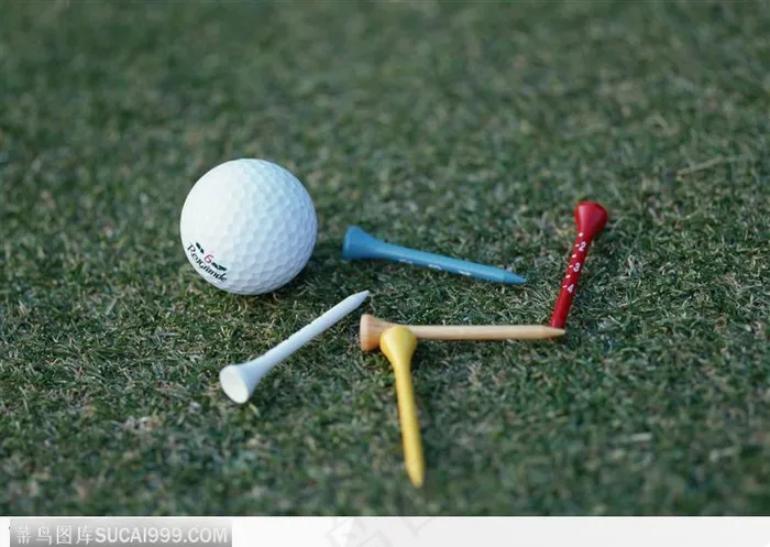 草地上的球与球钉