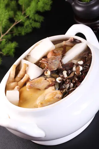 川贝琵琶炖乳鸽