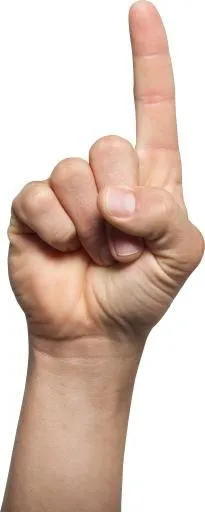 手 PNG免抠(1749x4364)