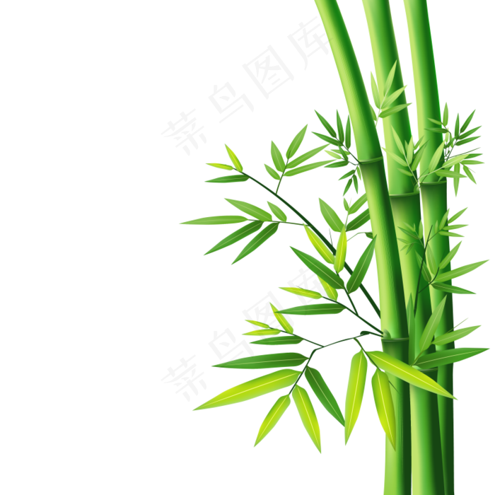 PNG 绿色竹子  