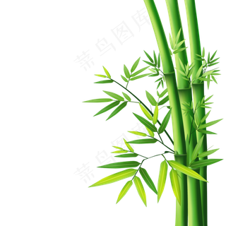 PNG 绿色竹子  