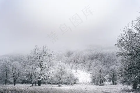 冬季雾凇风景图片 冬季雾凇风景图片