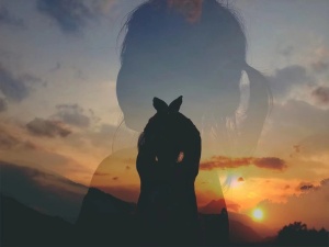 夕阳剪影记