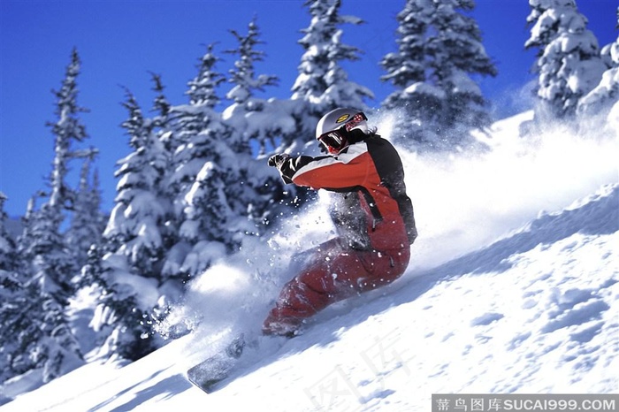冬日雪山滑雪图片