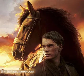 战马与英雄电影海报