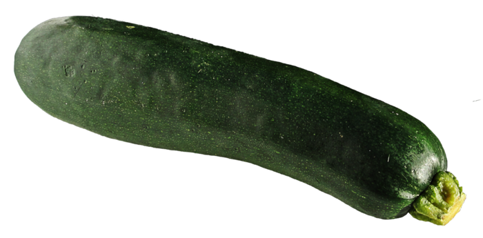 生瓜蔬菜绿植
